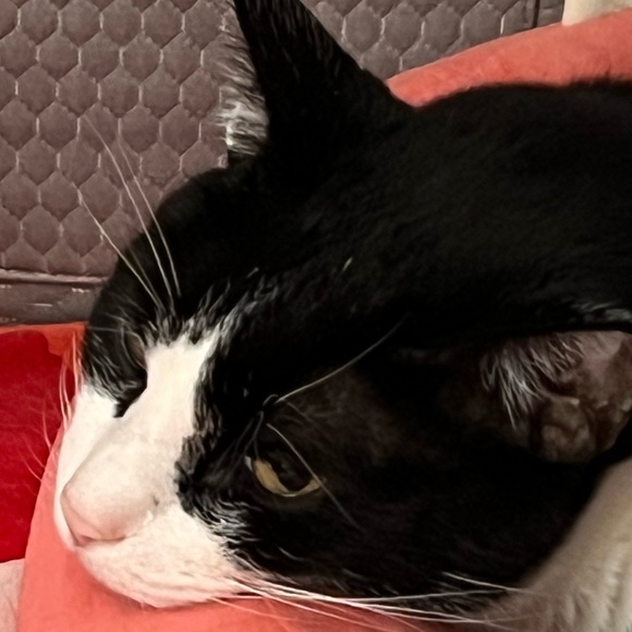 Accessories - Giveaway 2/1 You won the giveaway and unlocked free shipping!